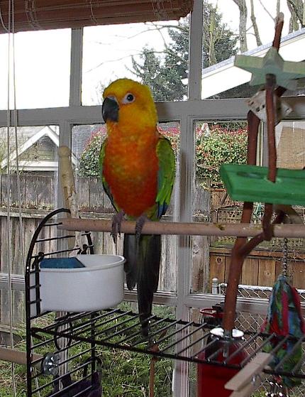 Sunny on the playstand
